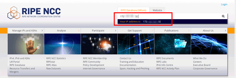 ripe-check-whois-ip